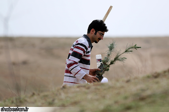 گزارش تصویری از روز درختکاری در تپه های تلو