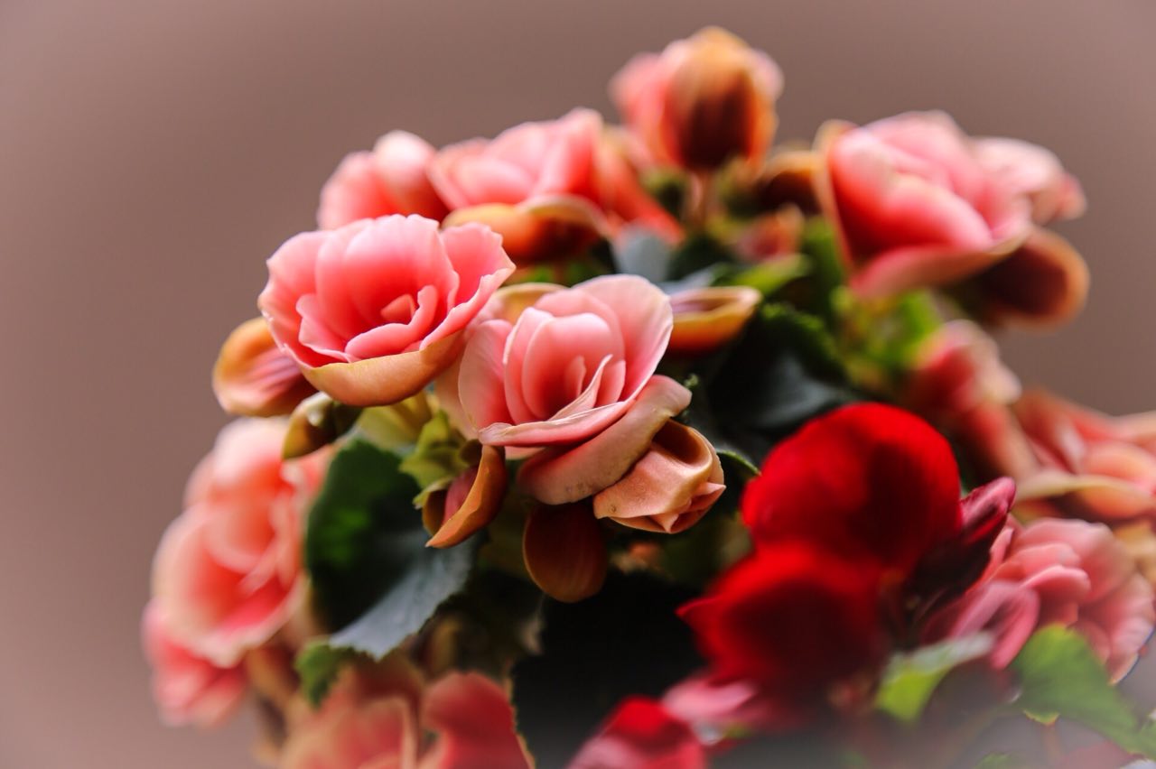 شب عید سعید غدیر
