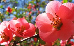 روز عید سعید غدیر